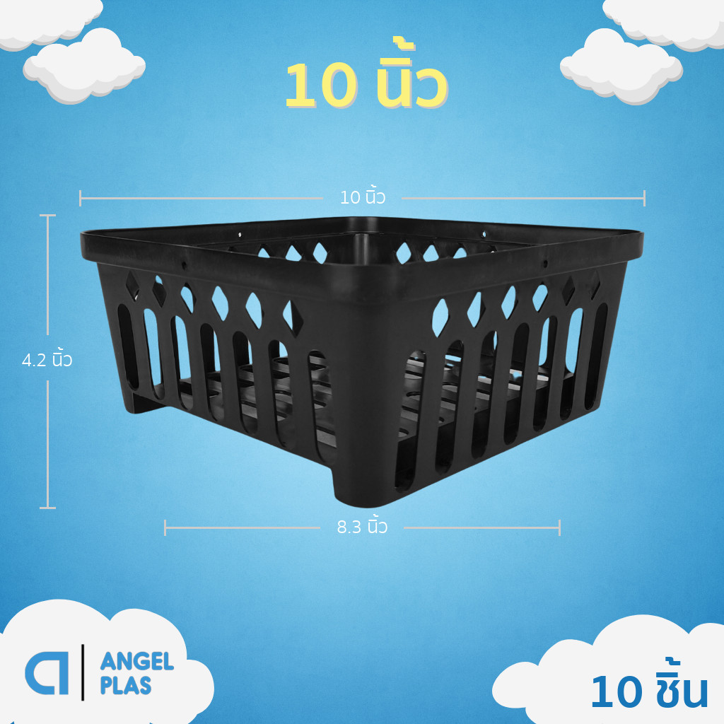 กระถาง กระถางกล้วยไม้ กระถางแขวน สี่เหลี่ยม 10 นิ้ว 10 25 50 ใบ ชิ้น