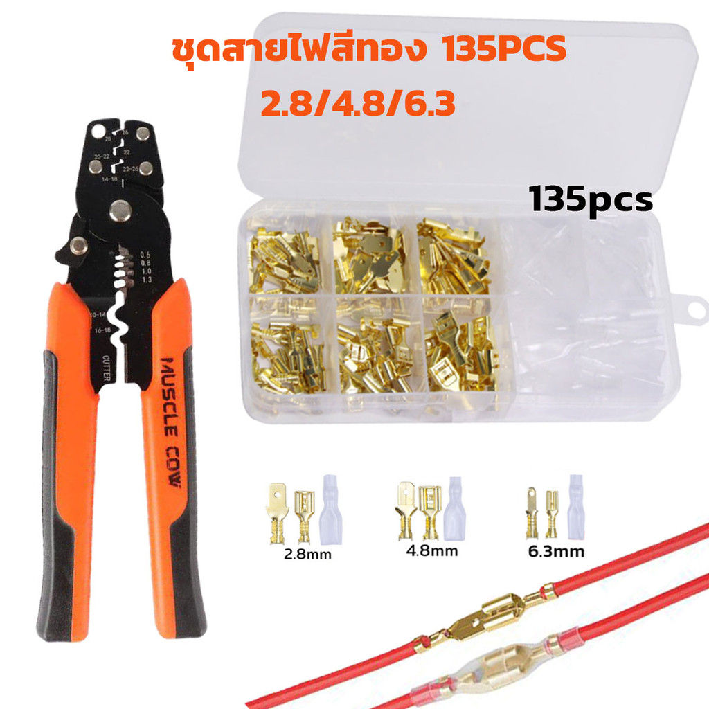 รูปภาพ 5