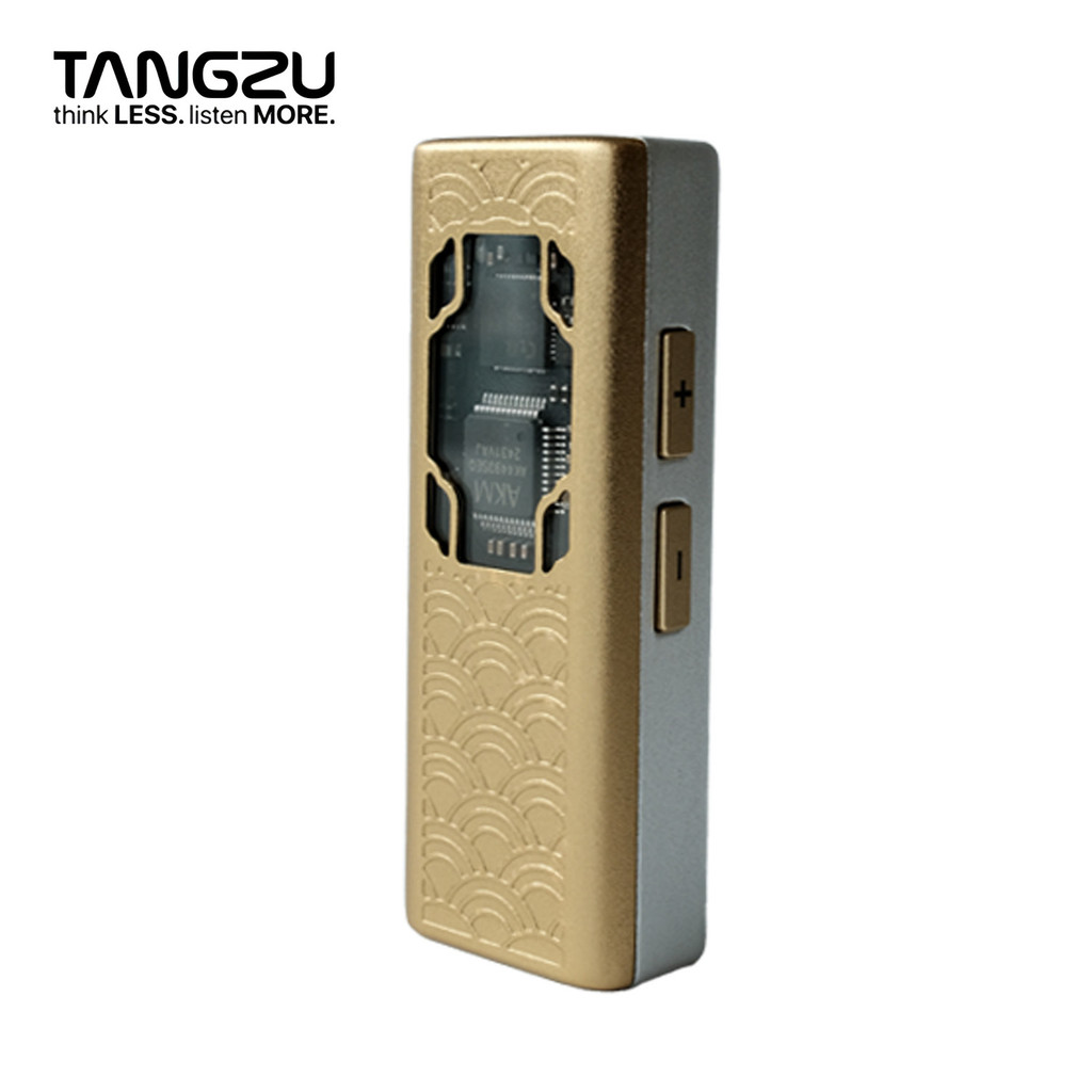 TANGZU Yulinglong AK4493SEQ DAC และ AMP แบบพกพาสําหรับ Waner 2 YUXUANJI ZETIAN WU IEMs
