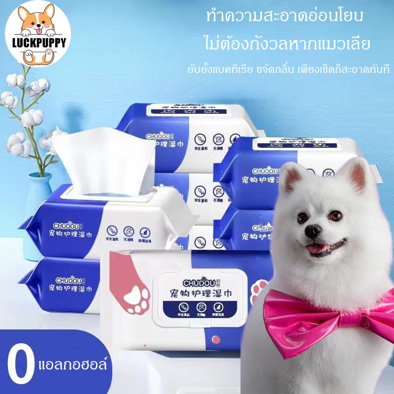 STOCK ✨  ผ้าเช็ดทำความสะอาดสัตว์เลี้ยง สำหรับสุนัข เช็ดรอยน้ำตา ทำความสะอาดร่างกายโดยไม่ต้องล้าง ช่วยลดกลิ่น ไม่ระคายผิว ราคา ถูกที่สุด ดีลบีเคเค