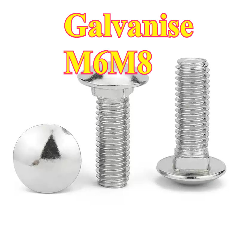 น็อต หัวกลม คอเหลี่ยม ชุบขาว M6 M8 สกรู น็อต ความยาวรวมคอ White Zinc GB12  DUJUNDU-MBD