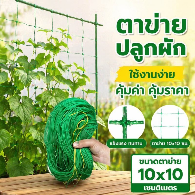 ตาข่ายปลูกผัก ไนลอน สีเขียว ค้างไม้เลื้อย ตาข่ายช่องตา สี่มุม แข็งแรง ใช้กับแตงกวา ถั่ว ฟักทอง