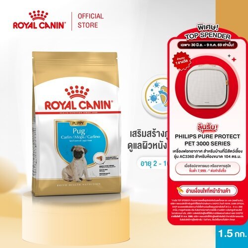 Royal Canin Pug Adult 3kg อาหารเม็ดสุนัขโต พันธุ์ปั๊ก อายุ 10 เดือนขึ้นไป (Dry Dog Food, โรยัล คานิน)