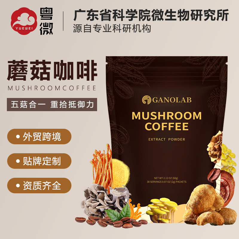 กาแฟเห็ดข้ามพรมแดน กาแฟเห็ด Bagged กาแฟเห็ดห้าในหนึ่งเดียว Amazon การค้าต่างประเทศ OEM