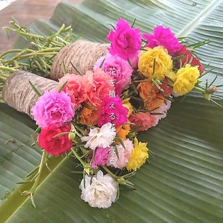แพรเซี่ยงไฮ้ 31 สี (คุณนายตื่นสายดอกซ้อน) 12 กิ่ง/20 บาท เลือกสีได้!