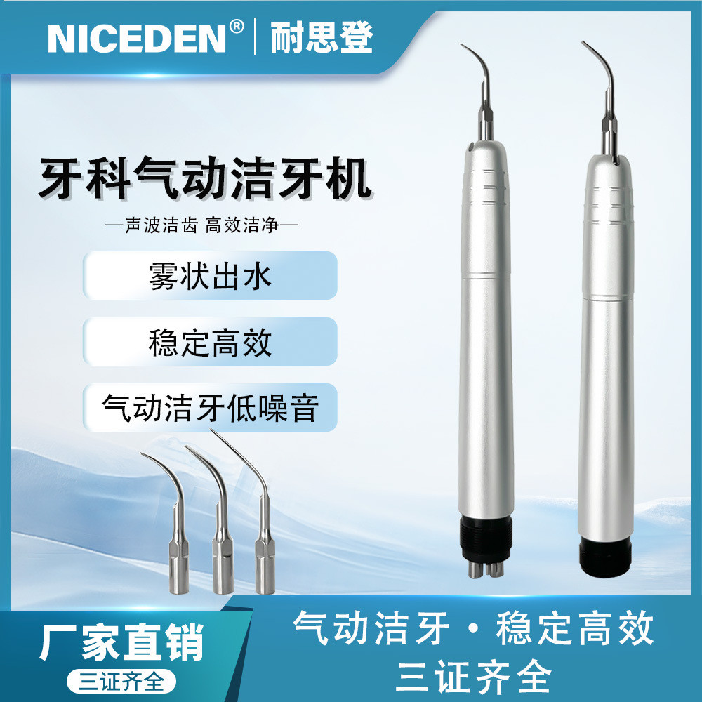 Niceden Dental irrigator, dental cleaner2Hole4Stainless steel dental plaque and tartar cleaner, oral