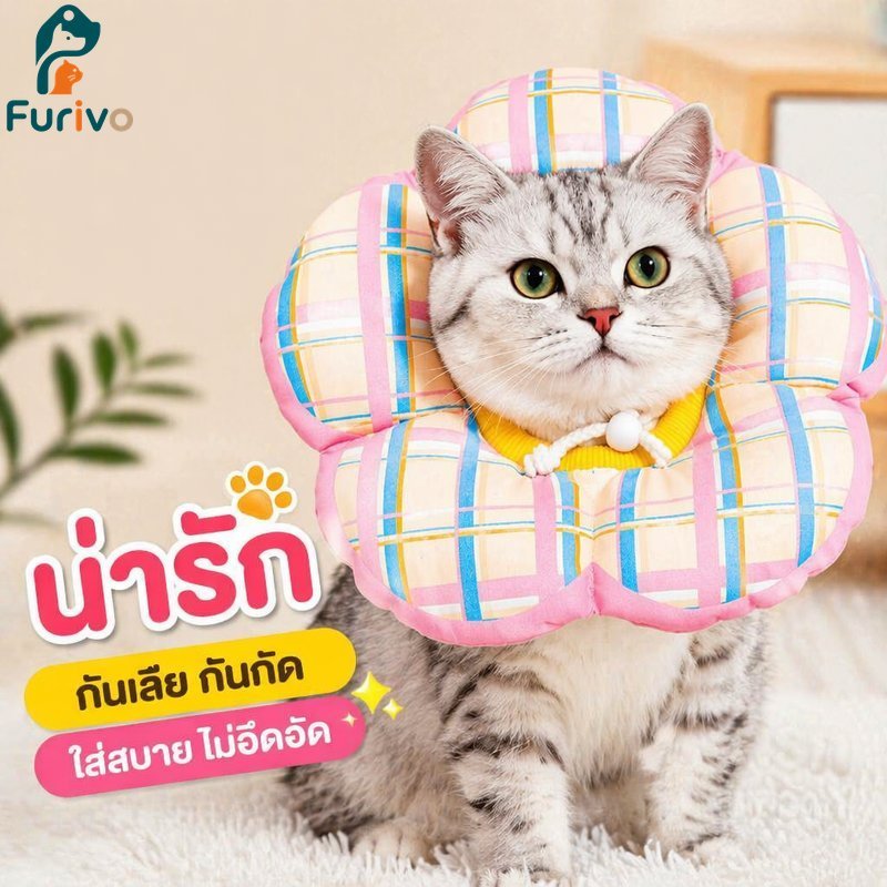 สัตว์เลี้ยงอลิซาเบธปลอกคอปรับนุ่มกันน้ําน้ําลายเอี๊ยมแมวสุนัขคอป้องกันน่ารัก ส เอ็กแอล