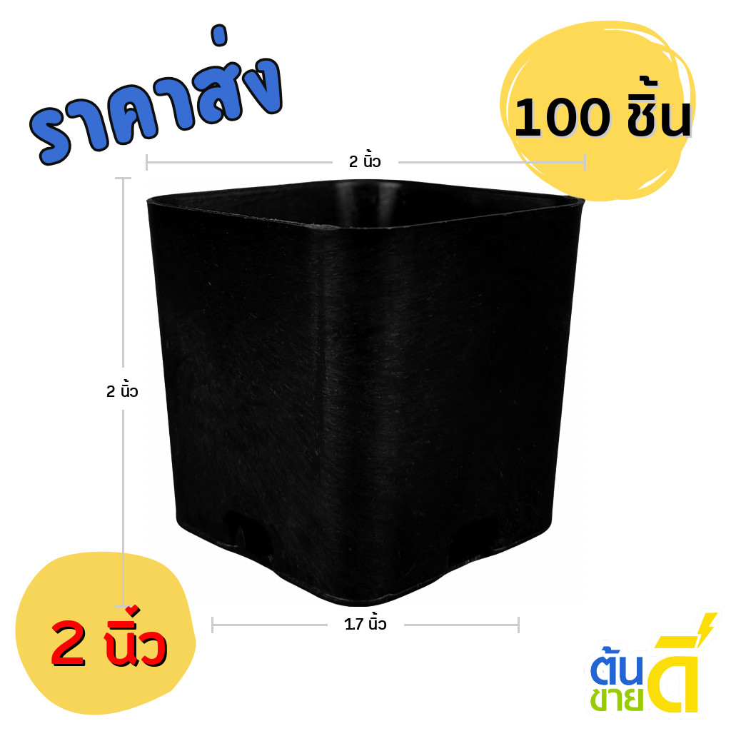 กระถาง กระถางแคคตัส เหลี่ยม 2 นิ้ว 50 100 ใบ