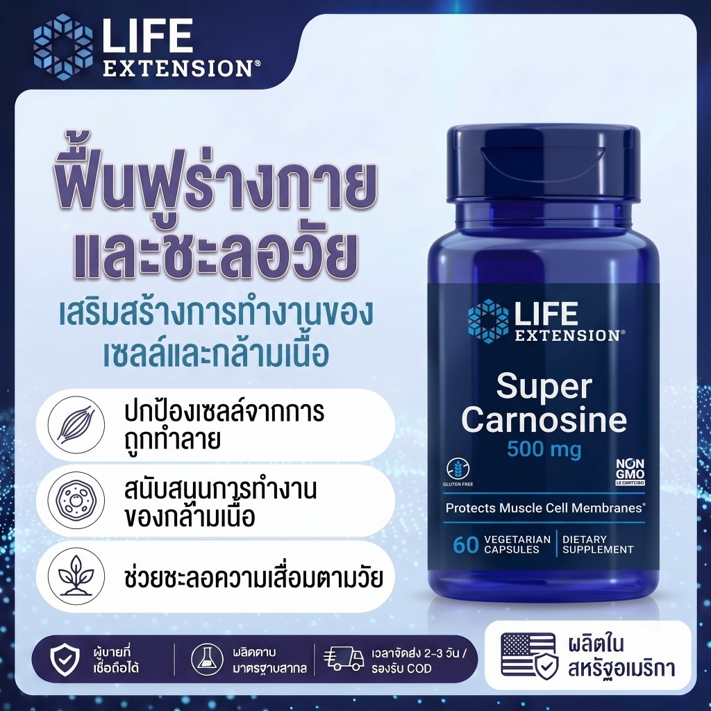 Life Extension Super Carnosine L-Carnosine + Luteolin + B1 ฟื้นฟูกล้ามเนื้อ หัวใจ 60 แคปซูล【พร้อมส่ง