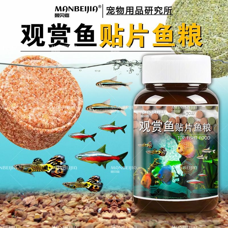 Patch Fish Grain Guppy โคมไฟจราจร Fish Make Fish Betta Zebra Fish Small Tropical Ornament Fish Feed 
