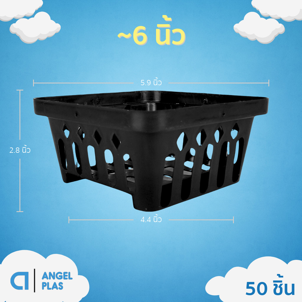 กระถาง กระถางกล้วยไม้ กระถางแขวน สี่เหลี่ยม 6 นิ้ว 10 25 50 100 ใบ ชิ้น
