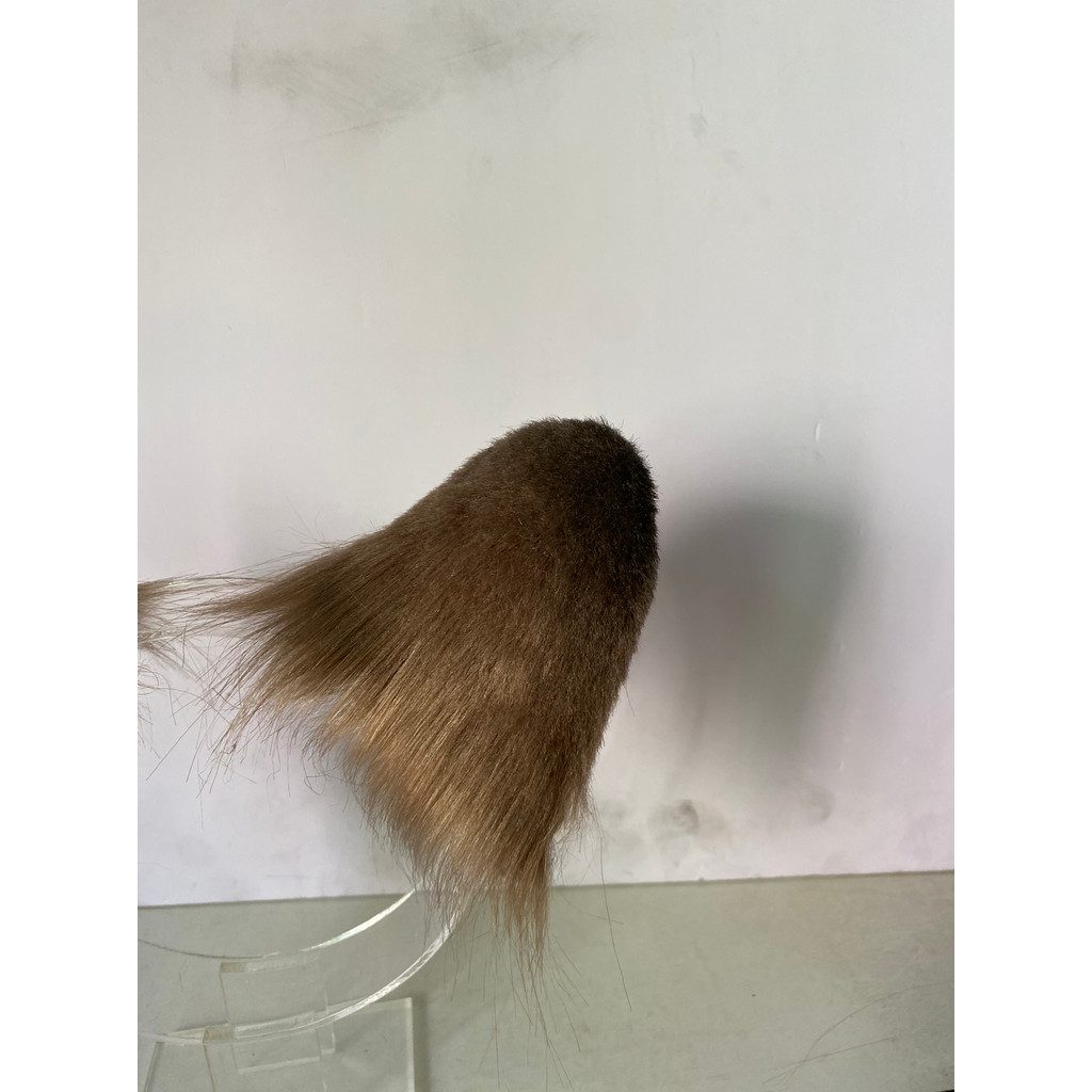 Disney Twisted Wonderland leona leona Kingscholar Tail จําลองหู Plush COS Props