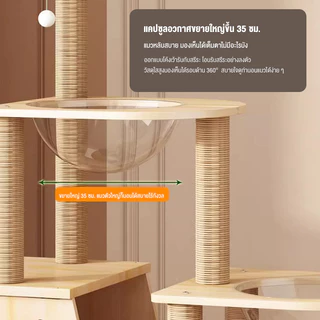 คอนโดแมวไม้ ที่ปีนแมว เหมาะสำหรับเลี้ยงน้องแมว4-6ตัว cat tree tower คอนโดแมว คอนโดแมวราคาถูกสูง215CM ไม้สวยไร้เหลี่ยมคม