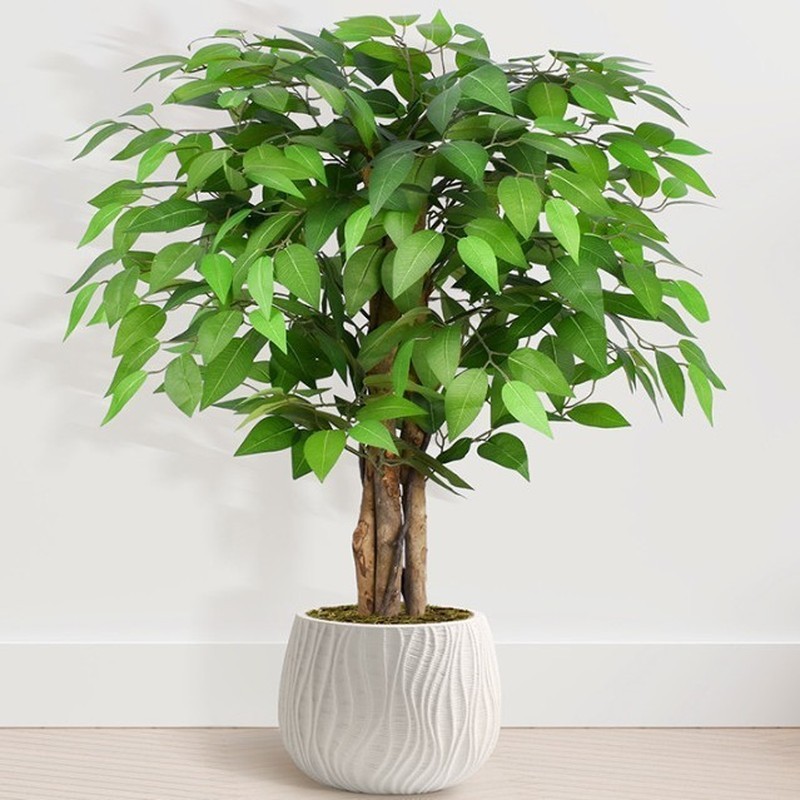Cross-Border จําลอง Byan Tree จําลองสูงบอนไซขนาดเล็กสีขาว-Border Banyan Tree ตกแต่งห้องนั่งเล่นในร่ม