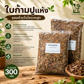 ใบก้ามปูแห้ง 300 g. คุณภาพสูง ใช้ผสมดิน เร่งการแตกยอด ใบเขียว ต้นไม้สมบูรณ์ Samenea Leaves