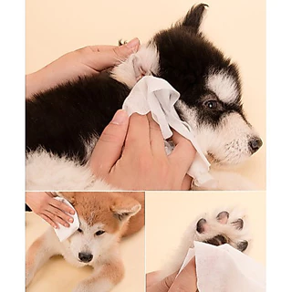 [พร้อมส่ง] EGG ทิชชู่เปียก Pet wipes 80X50แพ็ค แผ่น ผ้าเช็ดตาและหูสัตว์เลี้ยง สำหรับเช็ดสัต ว์เลี้ยง ทิชชู่เปียก COD