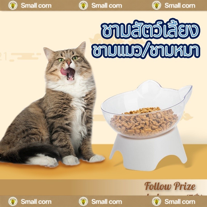 ชามแมว ชามสัตว์เลี้ยง สูง16cm Pet bowl pvc ชามใส่อาหารสัตว์เลี้ยง โปร่งใส ป้องกันกระดูกสันหลังคอ
