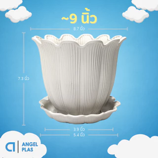 กระถางต้นไม้ มินิมอล ขนาด 8 นิ้ว สีขาว ขั้นต่ำ 3 ใบ ชิ้น อัน