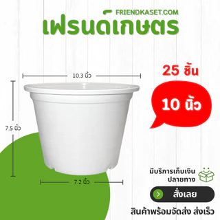 กระถาง 10 นิ้ว ยกมัด 25 ใบ ราคาโรงงาน สินค้าพร้อมส่ง ปลายทางได้