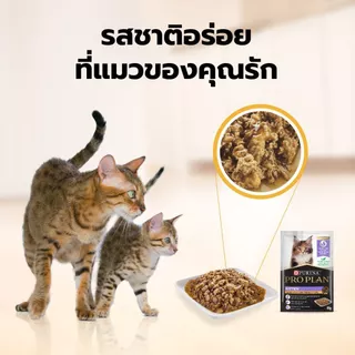 [เลือกรสชาติได้] Purina PRO PLAN Cat อาหารแมวเปียก 85 g x12 ซอง สูตร Complete & Balance อาหารเปียกแมวเลขทะเบียน 07