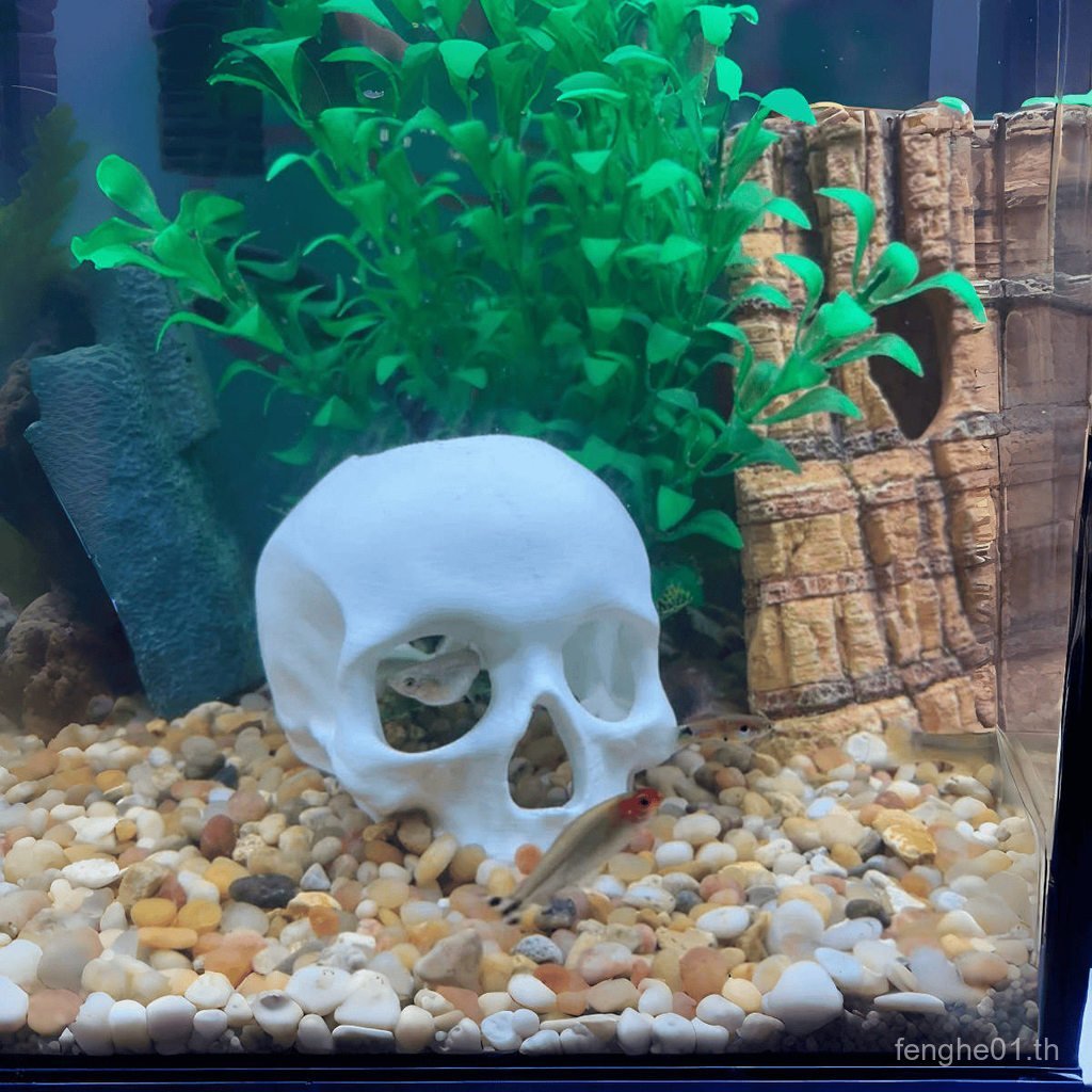 A Skull Shape Hiding House ปีนเขาสัตว์เลี้ยง Land Hiding House ตกแต่งตู้ปลา Aquarium ตกแต่ง 3D การพิ
