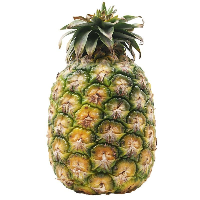 GI สับปะรดศรีเชียงใหม่ GI Sri Chaimai Pineapple