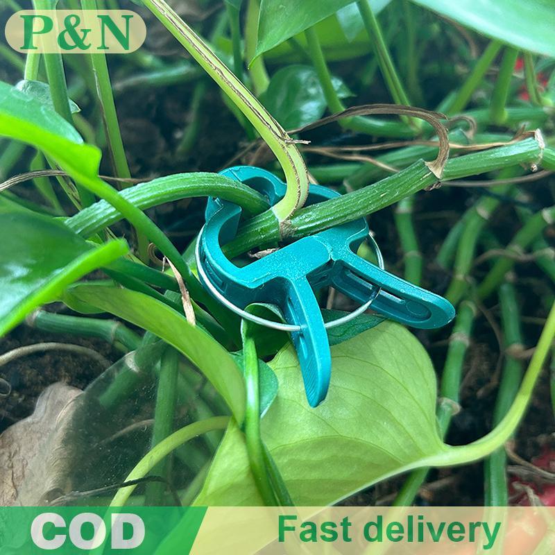 [P&N] 10/20 ชิ้นพืชคลิปคงที่Reusable Gardenเรือนกระจกวงเล็บพืชสวนVine Climbing Clampดอกไม้มะเขือเทศส