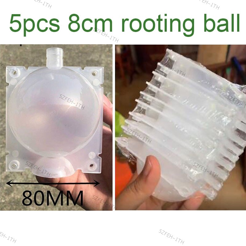 5 ชิ้น 8 ซม.ผลไม้ต้นไม้ Rooting Ball แรงดันสูง Breeding Root กล่องพลาสติกโปร่งใส Grafting Rooter ปลู