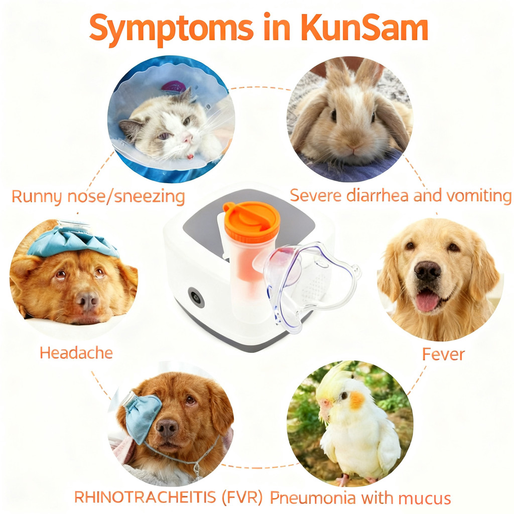 จัดส่งในพื้นที่+COD ชื่อผลิตภัณฑ์:CONTEC NE-J01VET Veterinary Mesh Nebulizer เครื่องพ่นยาคอมเพรสเซอร์สําหรับสัตว์ – เครื่องพ่นยาพกพาสําหรับสัตว์เลี้ยง - รูปที่ 4