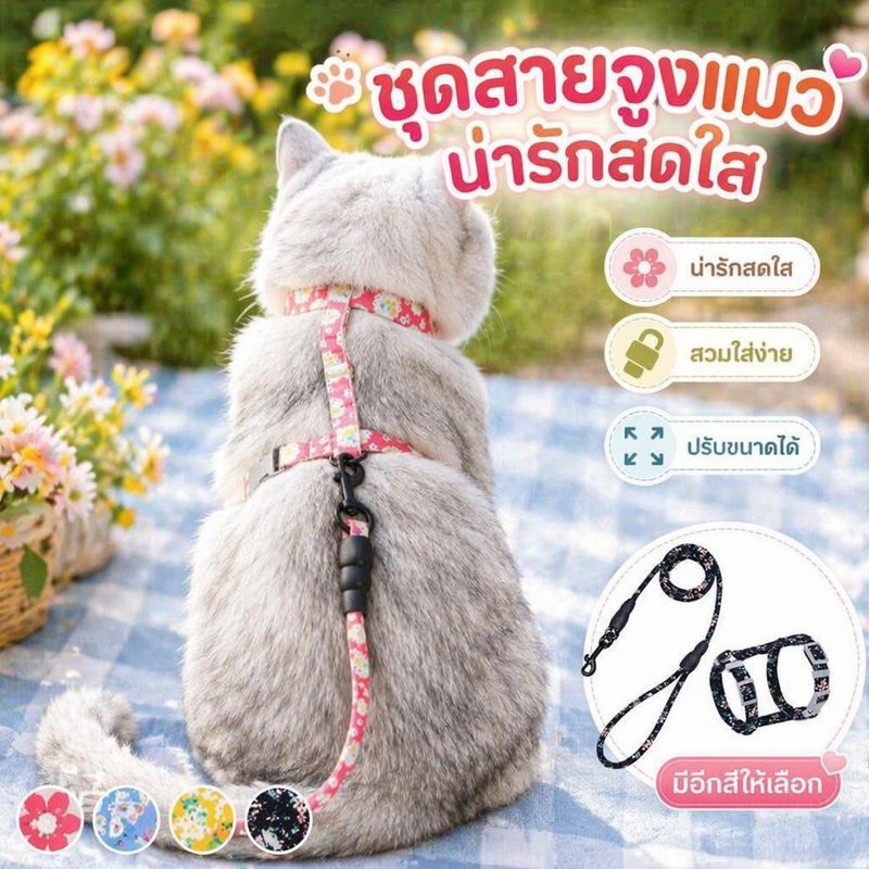 ชุดสายจูงแมว พร้อมสายรัดอก แบบไอ ป้องกันหลุด ปรับได้ เชือกถักนุ่ม ยาว หนึ่งร้อยห้าสิบ เซนติเมตร