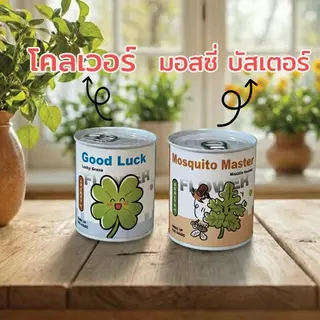 ชุดปลูกพืชในกระป๋อง | 15 สายพันธุ์ | ปลูกง่าย มือใหม่ก็ปลูกได้
