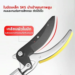 【รับประกัน 5 ปี】กรรไกรตัดผลไม้ ตัดกิ่งไม้เร็ว ประหยัดแรงงาน ยืดได้ 4.3mกรรไกรยาวSK5 กรรไกรตัดกิ่งด้ามยาว