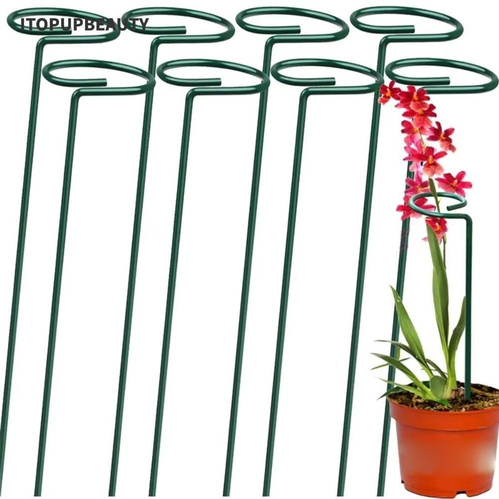 ITOPUPBEAUTY Support Frame, Metal Anti-dropping Plants Support Rod,Reusable Flower Plant Stem Protection Rod Garden Supplies