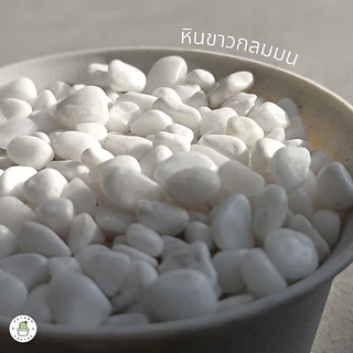 💎Premium Stone หินเกรดพรีเมี่ยม หินกลมดำมน กลมขาวมน หินขาวแก้ว ขาวกระจก หินโรยหน้ากระถาง บรรจุ 500 กรัม / 2 กิโลกรัม💎