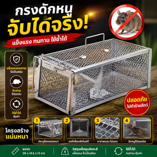 COD กรงดักหนูสปริง กรงดักหนูโครงหนา วัสดุโลหะแข็งแรง ใช้ซ้ำได้ กับดักหนูไว ติดตั้งง่าย สำหรับบ้าน โรงนา และโกดัง