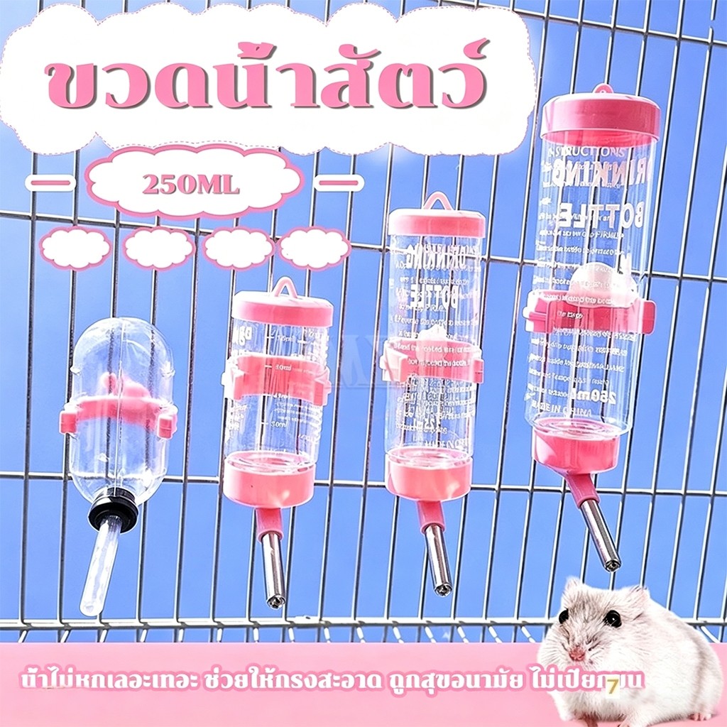 COZII ขวดน้ำแฮมเตอร์ 80ml 125ml 250ml ขวดน้ำกระต่าย แบบติดกรง อัตโนมัติ ภาชนะสามารถถอดล้างได้ ทำความสะอาดง่าย