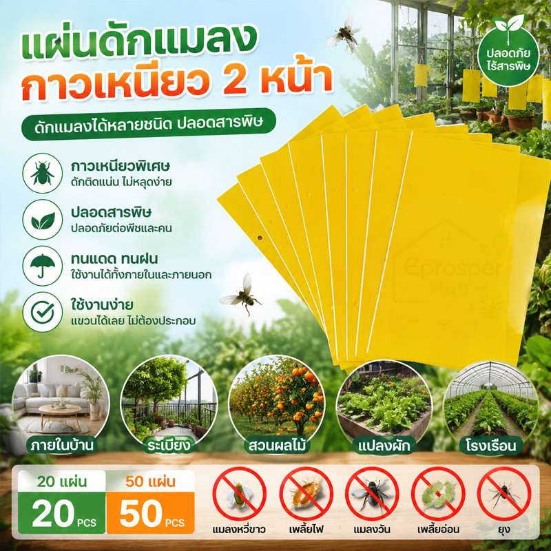 แผ่นกาวดักแมลง (มีกาวในตัว) กระดาษจับแมลง แพ็คละ 20/50/100 แผ่น ดักแมลงศัตรูพืช กาวดักแมลงวันทอง