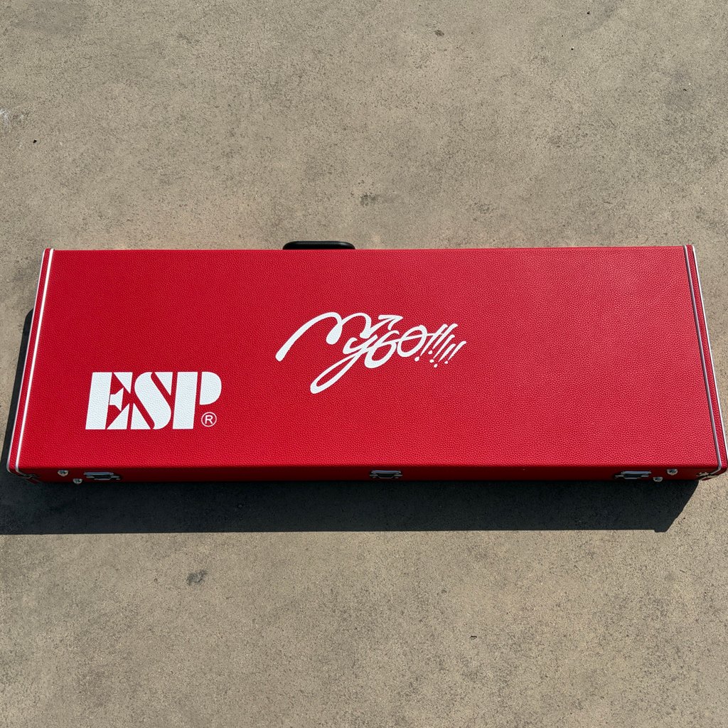 Classic Red BanG Dream MyGO Electric Guitar Case Lining ST/TE/ESP Universal Style