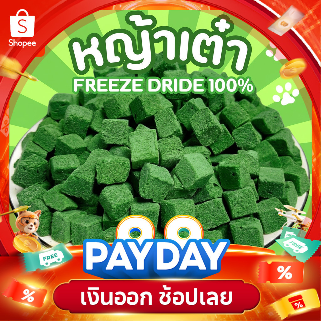 หญ้าแมวฟรีซดรายหั่นเต๋า ผสมอกไก่ไข่แดง ขนมแมวออร์แกนิก ของทานเล่นเสริมสุขภาพ แมวชอบ อาหารแมวแท้