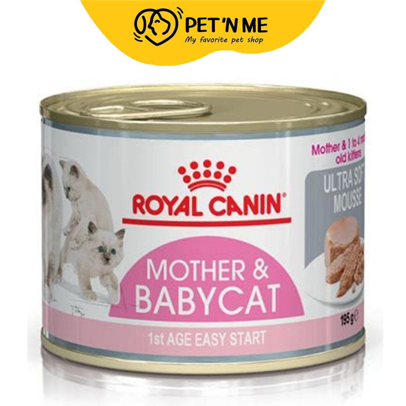 Royal Canin طعام قطط رطب للأمهات والصغيرة