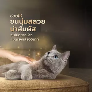 Sheba ชีบา อาหารเปียกแมว เกรดพรีเมี่ยม ขนาด 70 กรัม [ยกโหล 12 ซอง]