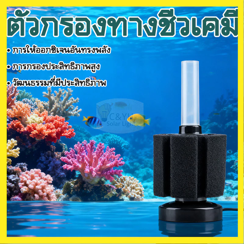 【ลดราคาพิเศษ】 กรองฟองน้ำตู้ปลา ฟองน้ำกรองชีวภาพ ฟองน้ำกรองละเอียด น้ำใส ปลาแข็งแรง 💧