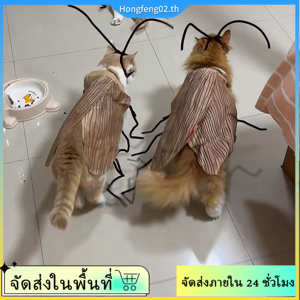 (จัดส่งในพื้นที่) ทําเอง บิด ติด แฮนด์เมดแมลงสาบไม่ทอแมวเสื้อผ้าสร้างสรรค์ตลกอุปกรณ์สัตว์เลี้ยง