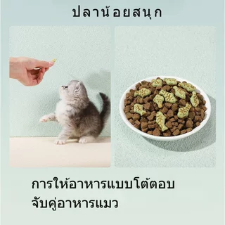 ขนมแมวหญ้าแมวฟรีซดราย คุกกี้มิ้นต์ Digestive Hairball Support ของว่างจากธรรมชาติ 1000g