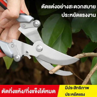 กรรไกรตัดกิ่งไม้คุณภาพสูง คมตัดดอกไม้ กิ่งพืช ทนทาน เครื่องมือทำสวนแท้ ใช้ตัดตกแต่งต้นไม้ได้หลายชนิด