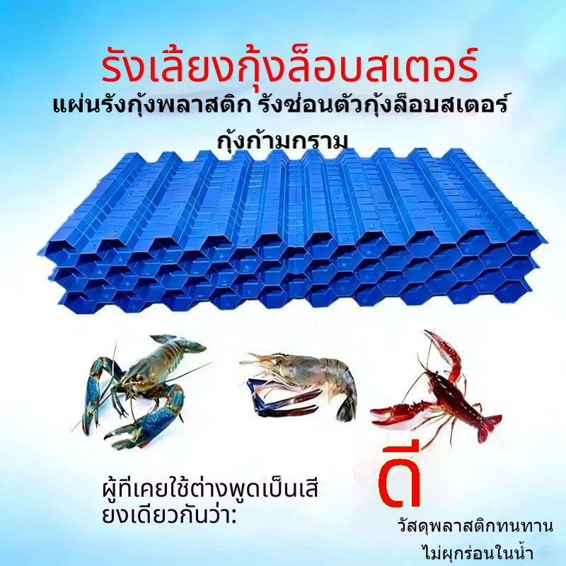 รังเลี้ยงกุ้งมังกรออสเตรเลีย บ้านปู รังเทียมเลี้ยงกุ้ง บ้านกุ้งก้ามกราม แผ่นพลาสติก