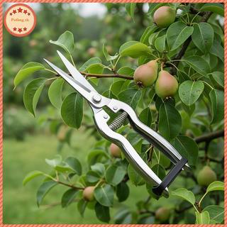 PUFANG Professional กรรไกรตัดแต่งกิ่งสแตนเลสคุณภาพสูง Sharp เครื่องตัดสวนสําหรับผลไม้ Piing Tree Trimming Garden Lovers TH
