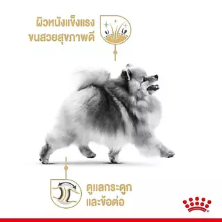 อาหารเปียก ROYAL CANIN Pomeranian สูตรปอมเมอเรเนียน12ซอง(ของใหม่)