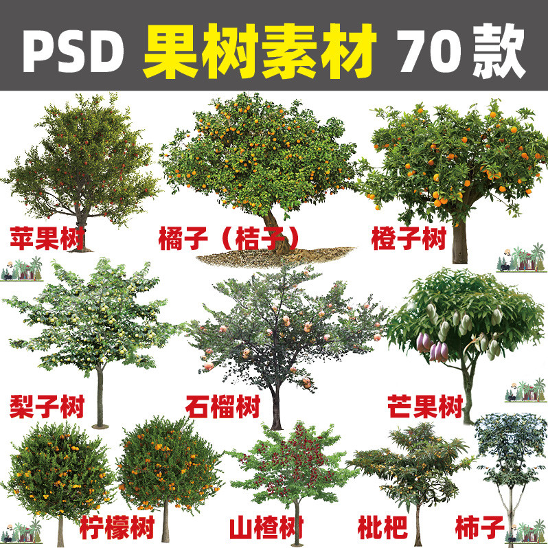 2023ps วัสดุต้นไม้ผลไม้ Apple Tree Orange Tree Pear Tree Grapefruit Lemon Tree Mango Tree Pomegranat