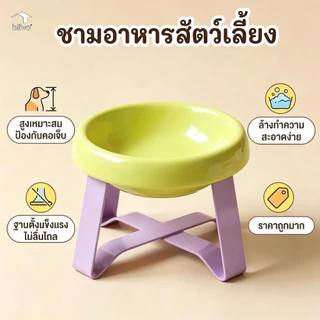 BLIVO ชามใส่อาหารสัตว์พร้อมขาตั้ง ช่วยป้องกันกระดูกสันหลัง ชามอาหารสัตว์ทรงสูง